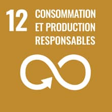 Logo de l'objectif développement durable Travail décent et croissance économique