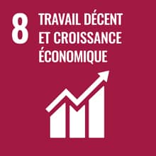 Logo de l'objectif développement durable Travail décent et croissance économique